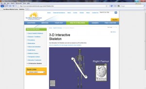 Web3d Bone Application